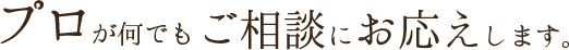 プロが何でもご相談にお応えします。