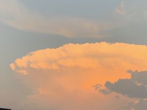オノヤ 須賀川リフォームショールーム ブログ「8月最終日」