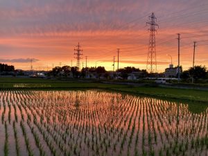 オノヤ 宮城野リフォームショールーム ブログ「最近の夕焼け」