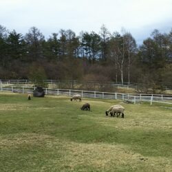 オノヤ 福島リフォームショールーム ブログ「山梨への旅」