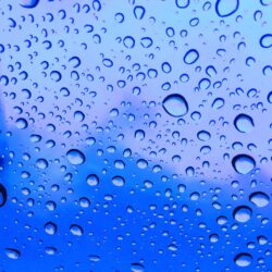 オノヤ 福島リフォームショールーム ブログ「今年は早めに梅雨入り！」