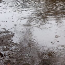 オノヤ 福島リフォームショールーム ブログ「外装工事に塗装屋さん泣かせの雨女」