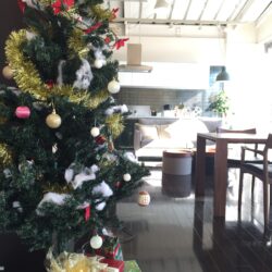 オノヤ 郡山リフォームショールーム ブログ「ショールームがクリスマス仕様に模様替え」
