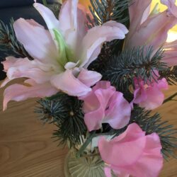 オノヤ 白河リフォームショールーム ブログ「白河ショールームには変わったお花があります！」
