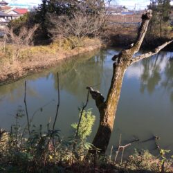 オノヤ 須賀川リフォームショールーム ブログ「いけ」