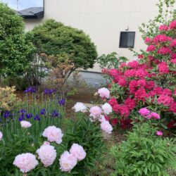オノヤ 須賀川リフォームショールーム ブログ「素敵なお庭✨」