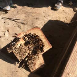 オノヤ 白河リフォームショールーム ブログ「壊してみると白蟻の被害が…」