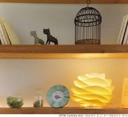 オノヤ 須賀川リフォームショールーム ブログ「可愛い照明ダイニングチェアの上に」