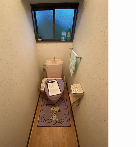 リフォーム施工事例：岩瀬郡　トイレリフォーム　個性的なデザイン Before