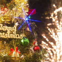 オノヤ 福島リフォームショールーム ブログ「クリスマスの飾りつけ」