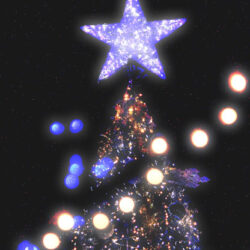 オノヤ 福島リフォームショールーム ブログ「クリスマスツリー」