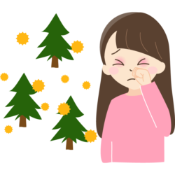 オノヤ 福島リフォームショールーム ブログ「花粉症の方におすすめ、サンルーム」