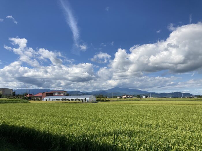 オノヤ 郡山リフォームショールーム ブログ「夏々の空々」