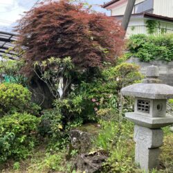 オノヤ 須賀川リフォームショールーム ブログ「須賀川市で植木の剪定　リフォーム」