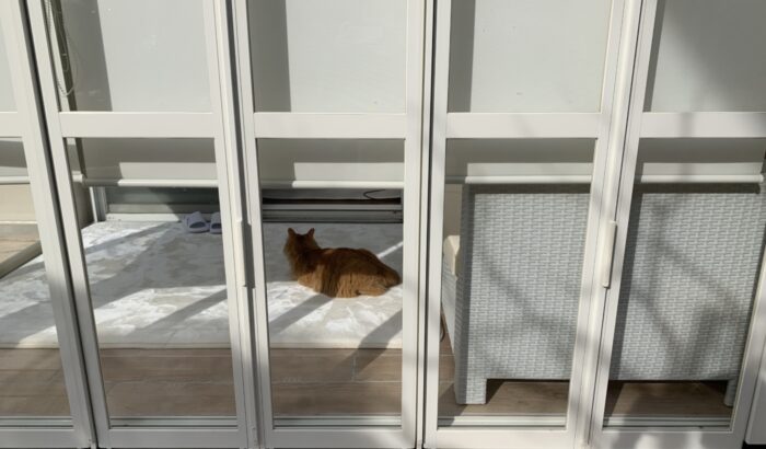 リフォーム施工事例：愛猫たちと遊べるガーデンテラスへエクステリアリフォーム