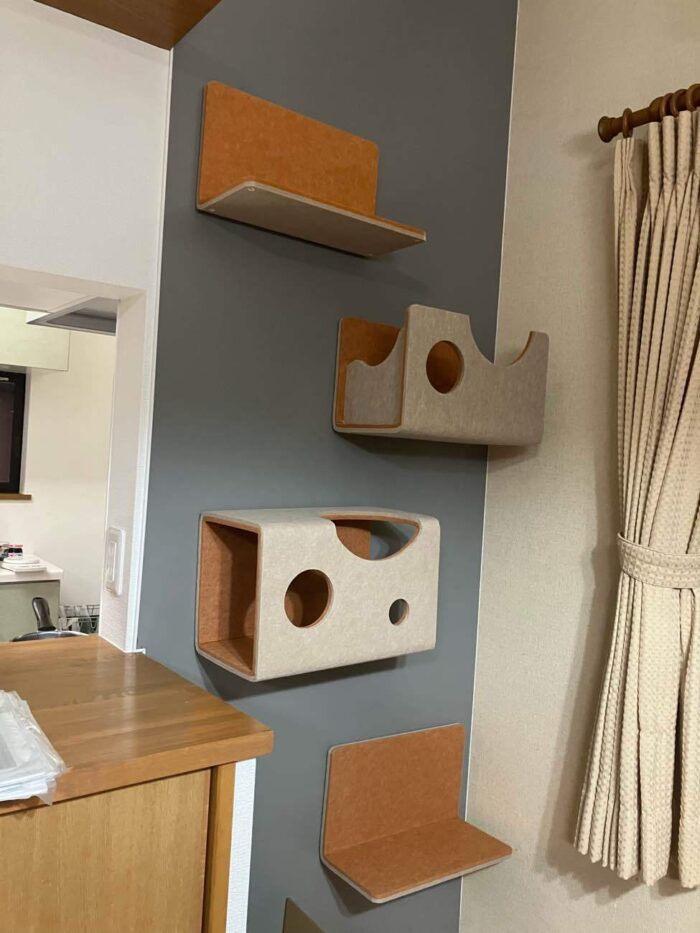 リフォーム施工事例:福島県 空きスペースを猫壁へ内装リフォーム