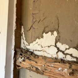 オノヤ 須賀川リフォームショールーム ブログ「須賀川市　お風呂リフォーム　解体するとシロアリ被害が発覚したりします。」