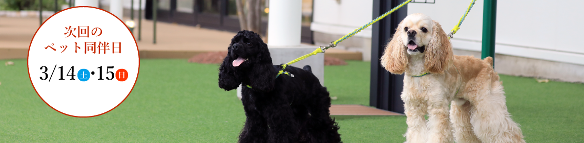 次回のペット同伴日
