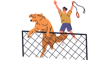 ペットリフォーム