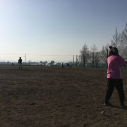 オノヤ 仙台泉リフォームショールーム ブログ「プロ野球前哨戦」