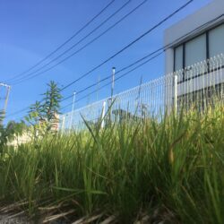 オノヤ 仙台中山リフォームショールーム ブログ「杜の都は新緑がキレイ」
