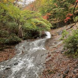 オノヤ 仙台南リフォームショールーム ブログ「紅葉を見に福島の安達太良山へ」