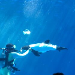 オノヤ 仙台南リフォームショールーム ブログ「小学生の従弟と水族館」