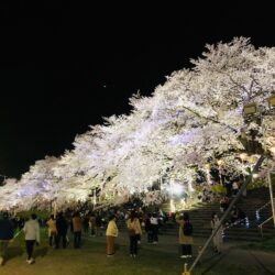 オノヤ 仙台南リフォームショールーム ブログ「この季節ですね」