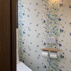 オノヤ 仙台南リフォームショールーム ブログ「可愛らしいクロスと照明のトイレ工事」