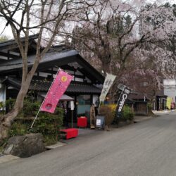 オノヤ 仙台泉リフォームショールーム ブログ「秋田県角館にさくらを見に行ってきました」