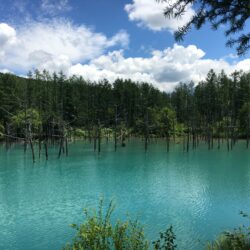 オノヤ 仙台泉リフォームショールーム ブログ「母と北海道に旅行に行ってきました。」