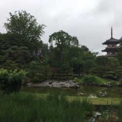 オノヤ 仙台泉リフォームショールーム ブログ「庭園」