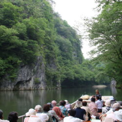 オノヤ 宮城野リフォームショールーム ブログ「日帰り旅行と花粉症！」