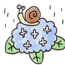 オノヤ 仙台泉リフォームショールーム ブログ「雨、雨、雨、雨・・・」