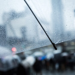 オノヤ 宮城野リフォームショールーム ブログ「雨で体調不良や道路事情など生活しづらいですね」