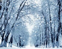 オノヤ 宮城野リフォームショールーム ブログ「雪景色」