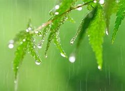 オノヤ 宮城野リフォームショールーム ブログ「もうすぐ梅雨の時期は苦労が多いです」
