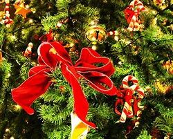オノヤ 宮城野リフォームショールーム ブログ「クリスマスムード一色」