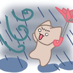 オノヤ 仙台南リフォームショールーム ブログ「台風」