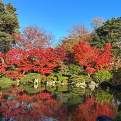 オノヤ 仙台南リフォームショールーム ブログ「山形の紅葉見頃です！」