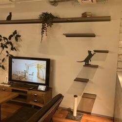 オノヤ 仙台中山リフォームショールーム ブログ「仙台市のショールームで相談できるペットリフォーム」