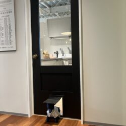 オノヤ 仙台中山リフォームショールーム ブログ「仙台市　ペットリフォーム相談」