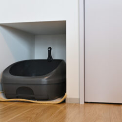 オノヤ 宮城野リフォームショールーム ブログ「マンションリノベ完成！③【仙台市】」