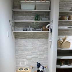 オノヤ 仙台中山リフォームショールーム ブログ「仙台市のリフォームショールームでペットリフォーム！」