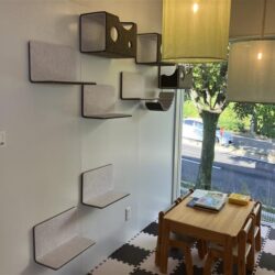 オノヤ 仙台中山リフォームショールーム ブログ「仙台市のリフォームショールでペットリフォーム」