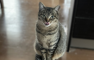 オノヤリフォーム スタッフ HISTORY