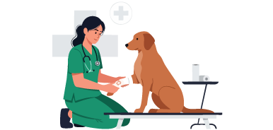 ペットリフォーム