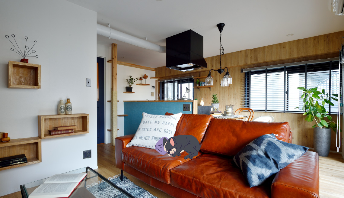 ペットリフォームフォトギャラリー