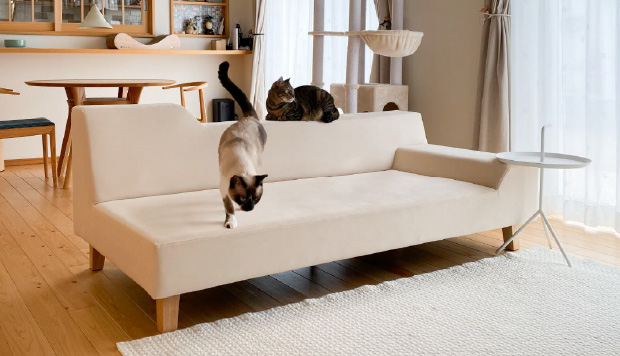 ペットリフォーム