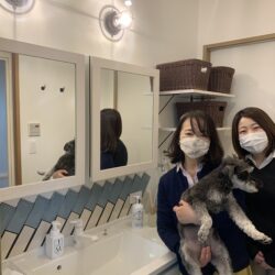 オノヤ 宇都宮宝木リフォームショールーム ブログ「洗面室リフォーム」